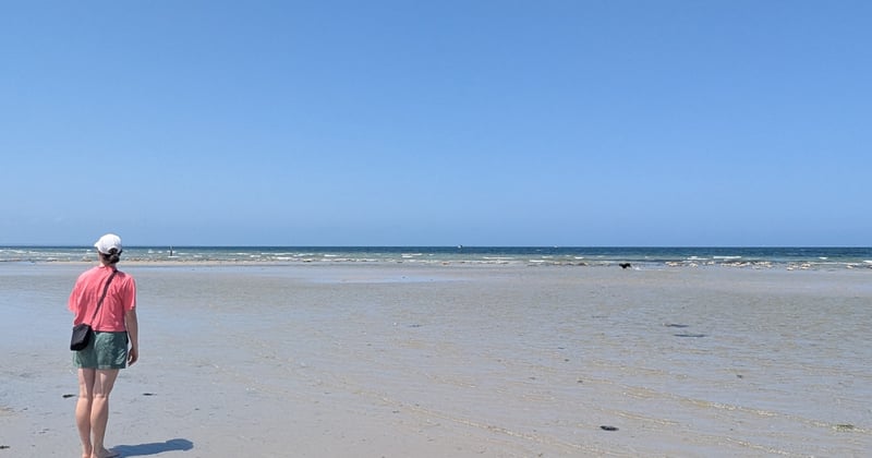 Newsletter: Are you prepared for a bushfire?