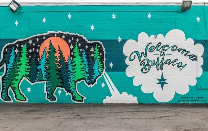 Buffalo business opportunities most people never see