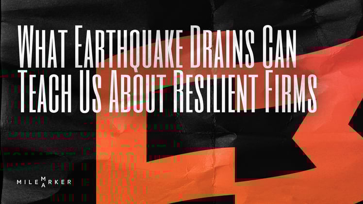 Finding Stability in the Lowcountry: What Earthquake Drains Can Teach Us About Resilient Firms