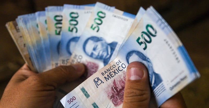 💸¿En qué gastan más los mexicanos?