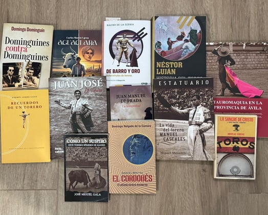 Veintiséis toreros frente al espejo