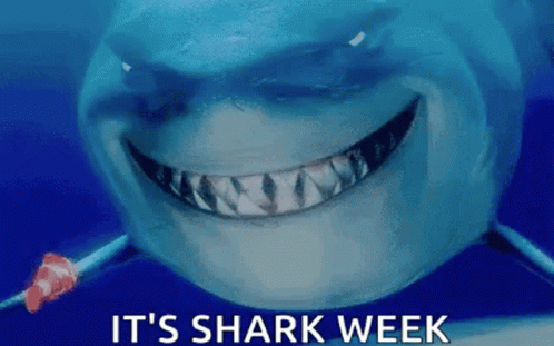 Open Season Monday Meme Market