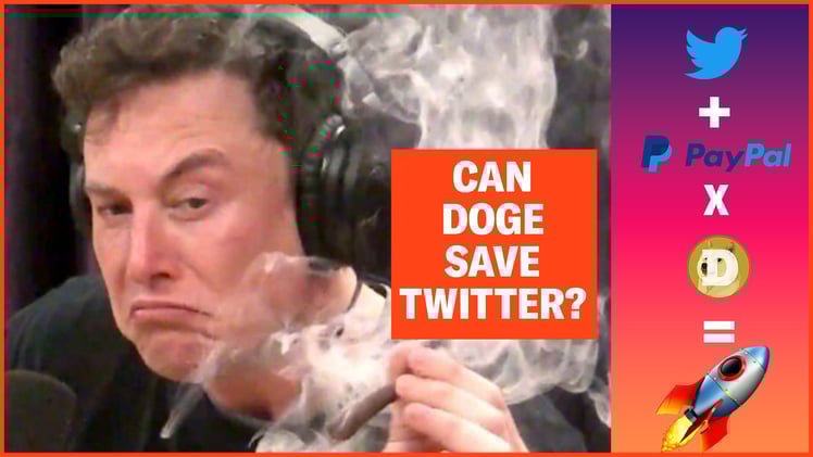 Inside Elon Musk's Dogecoin Plan to Save Twitter