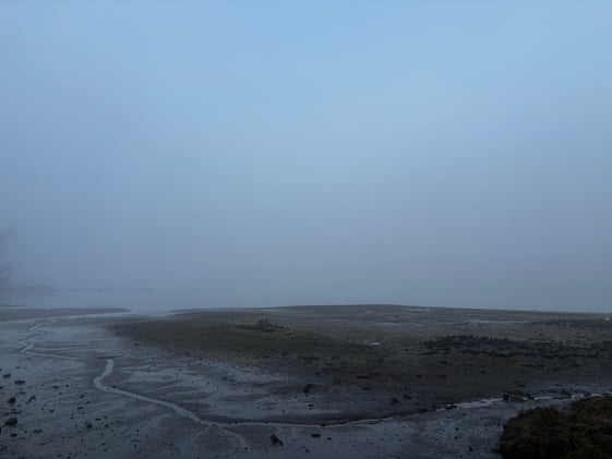 Monthly Update - November 2025