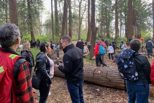 Final phase of Stanley Park logging approved, and a legal challenge kicks back into gear