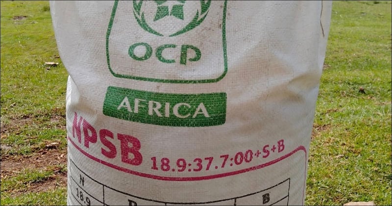 OCP Group bets on U.S. tech to decarbonise fertilisers
