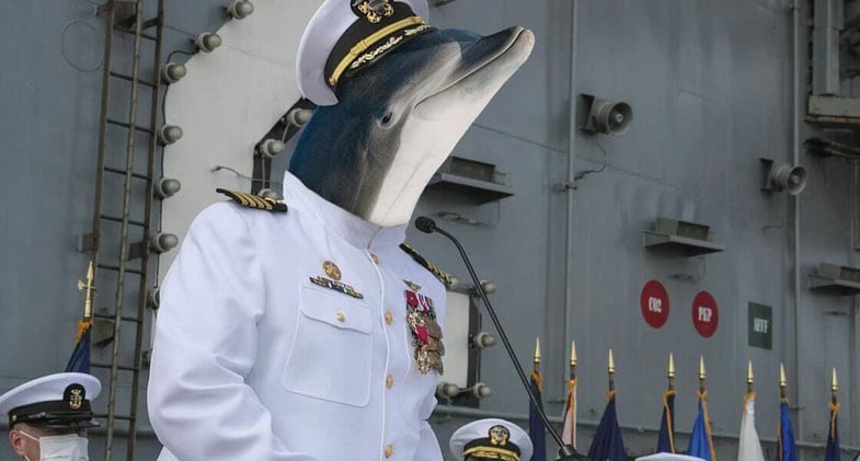 Top Navy dolphin implicated in ‘favors-for-fish’ scandal