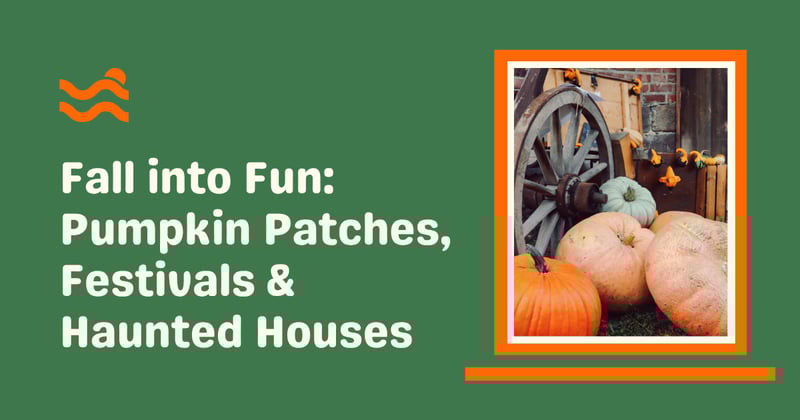 🎃 Fall Into Fun: Pumpkin Patches, Festivals & Haunted Houses
