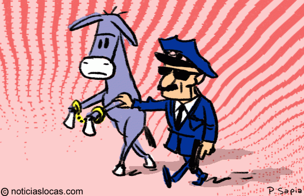 Detienen un burro por perturbar el tránsito