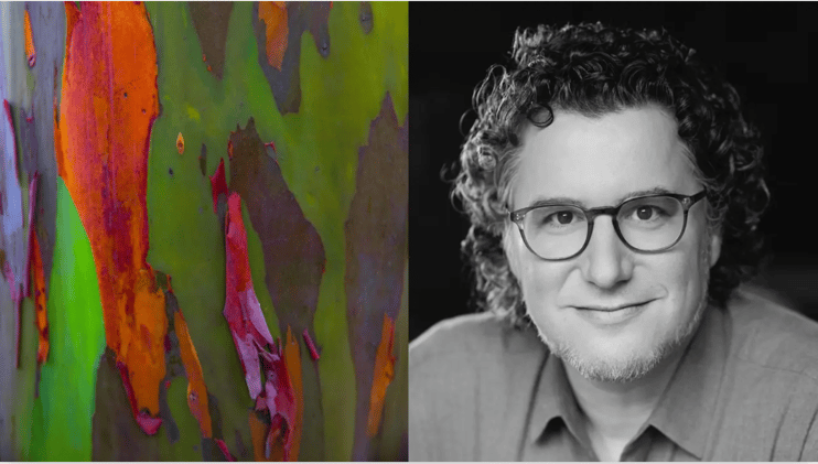 The asset we leave unprotected