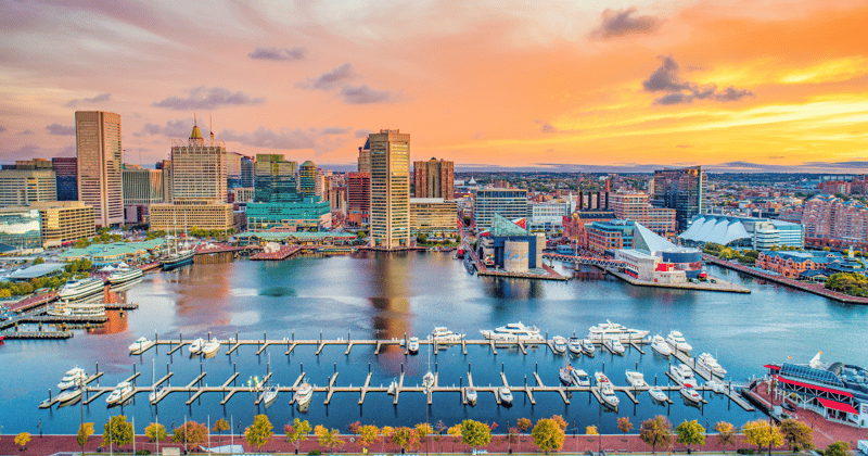 Maryland's Blossoming Cannabis Landscape