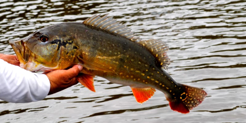 Plan Your Next Thanksgiving Getaway (20% off select 2026 Thanksgiving dates!)