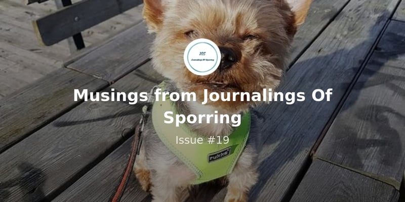 Musings from Journalings Of Sporring - Issue #19