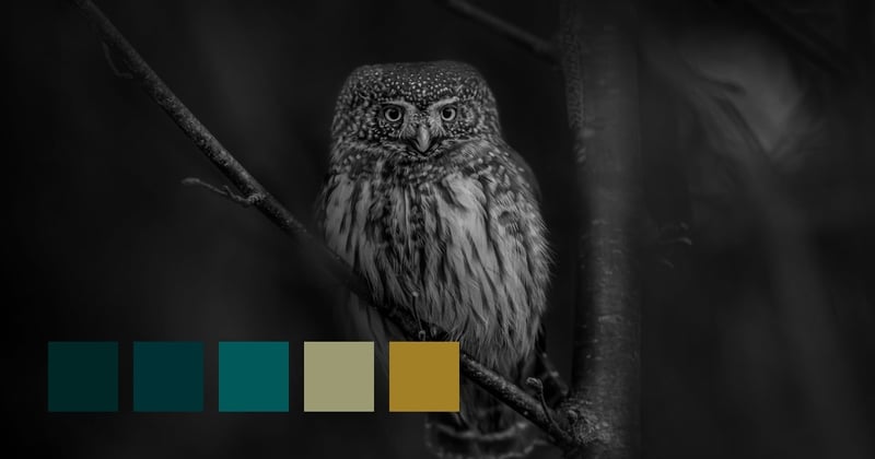 Harju County, Estonia