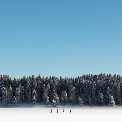 🍗 1.4 billion chicken wings | Bulletin #146