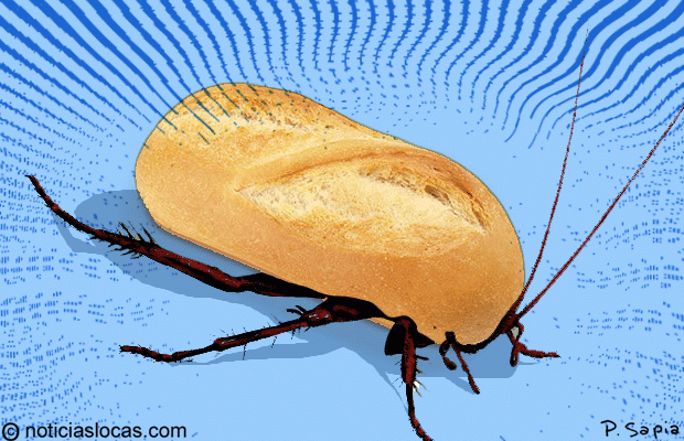 Harina de cucaracha, la nueva moda gastronómica en Brasil