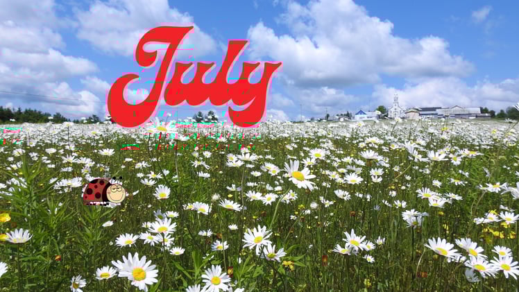 Your Uplift - July 2025