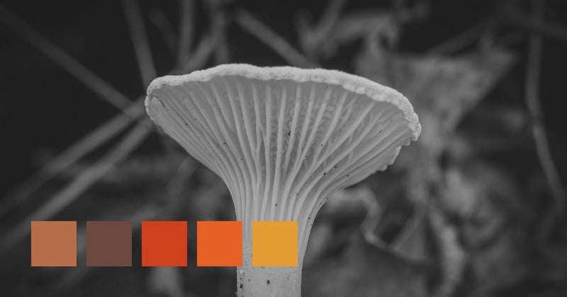 30,000 Released Per Second