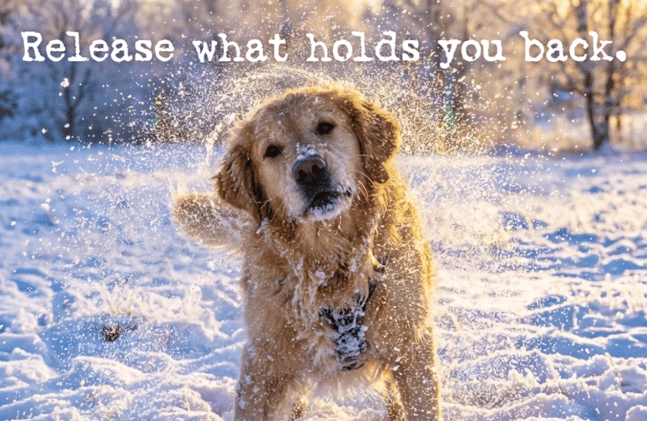 Release what holds you back.