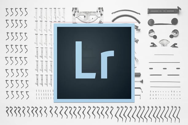 Ethical Wildlife Photography and Streamling Your Lightroom Journey