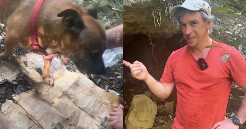 WATCH: Uncovering a time capsule in a Willoughby cave