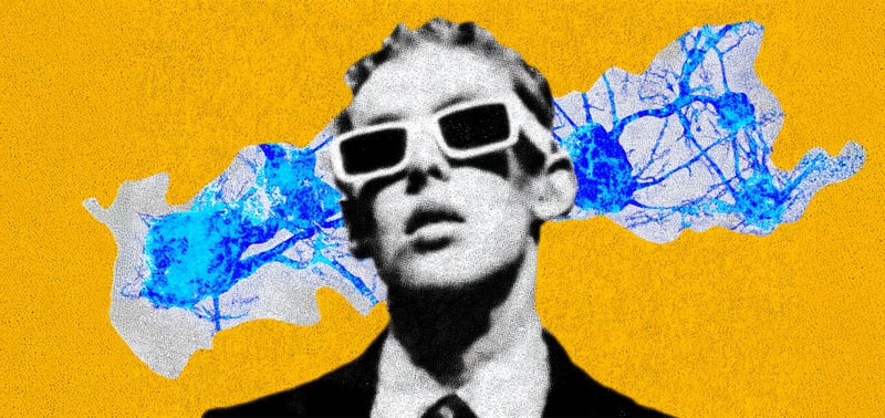 How AI could reshape human memory and attention 