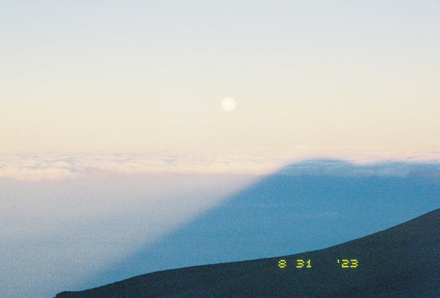 Kilimanjaro Exhibit, behind the scenes  | #11