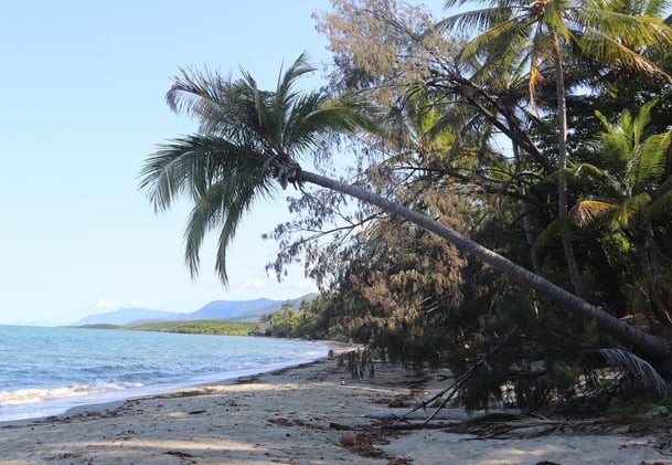 Newsport Alert Tuesday 11 November 2025