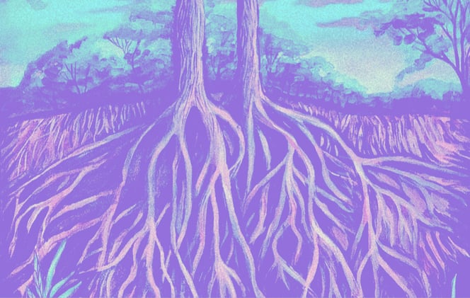 Le radici invisibili