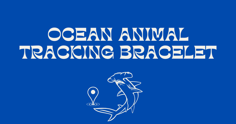 Ocean Animal Tracking Bracelets