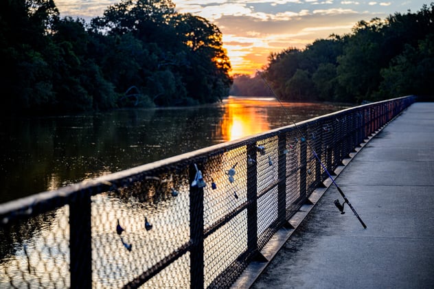 Too Hot to Plan? We’ve Got Your Cool Week Covered
