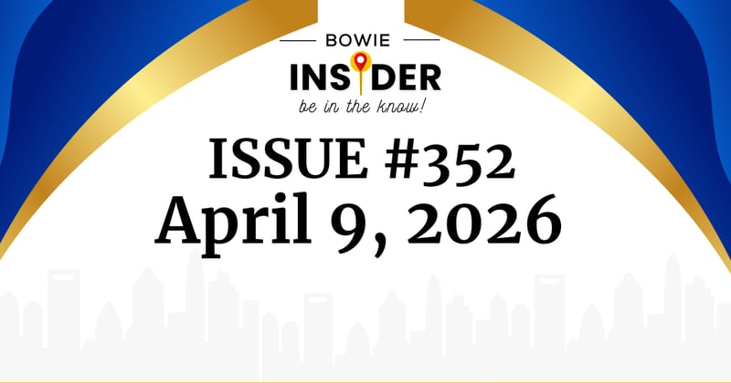 Bowie Insider Issue #352