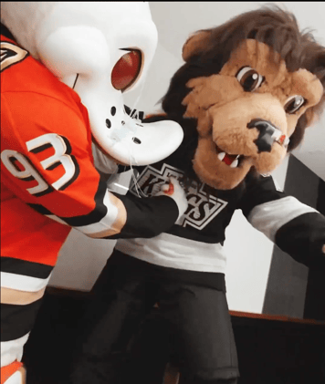 Friday Jan 16th NHL DFS Slate Breakdown