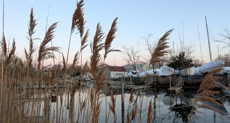 This Morning's Bulletin — 12.4.25