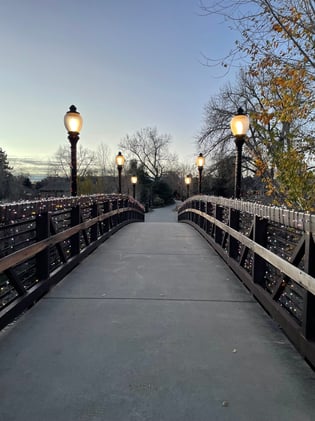 🪿 The Grateful Goose Edition