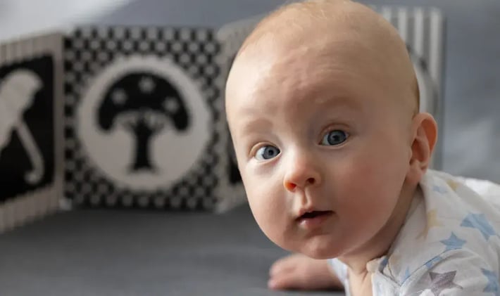 Your Baby's First Books: Why Reading Starts Early