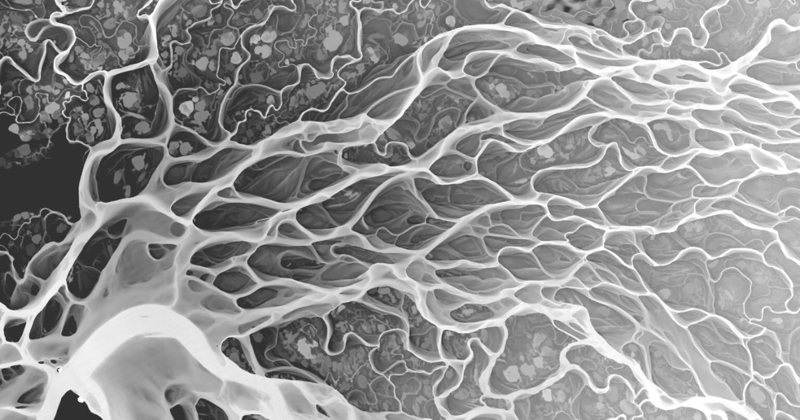 Where shall we begin?