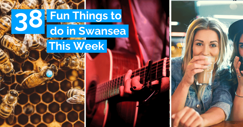 RiverFest, Paint & Sip, Meet the Bees, Relay Music, Doggy Day, Gower Walks