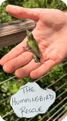 LETTER 2: A Nature Packed Week of Many Wondrous Adventures