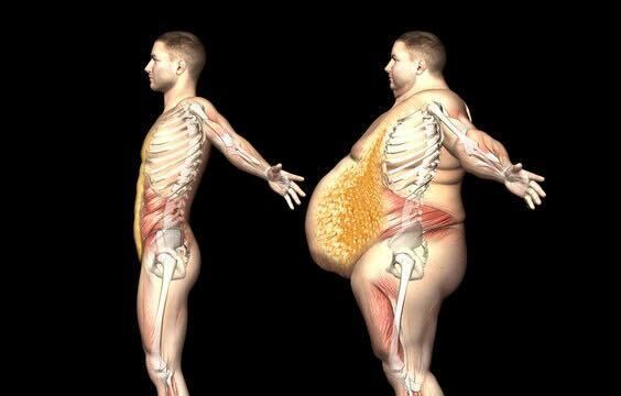 The Dark Side of Fat Loss (That No One Warns You About)