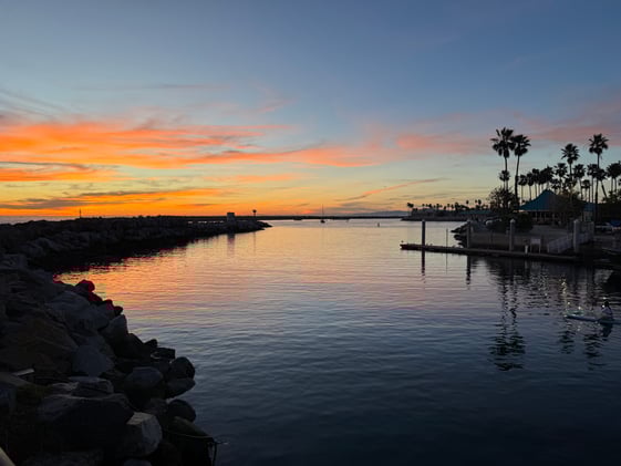 Cherry Blossoms, Egg Hunts & Rock Collections