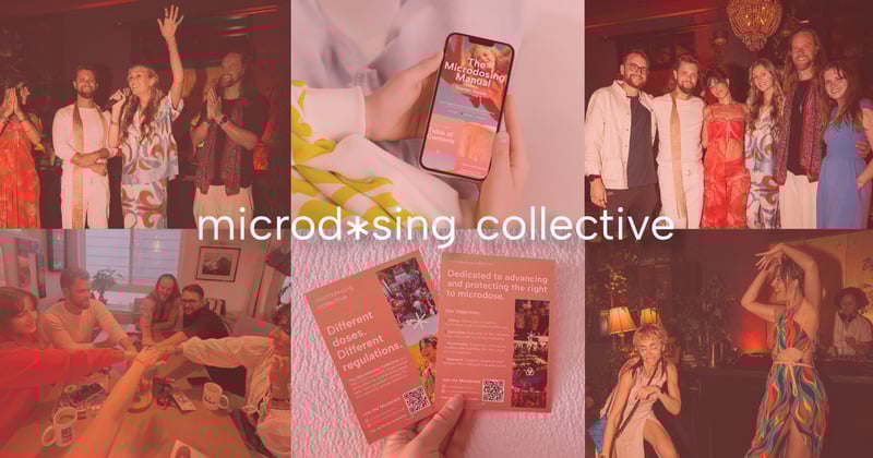 Our Mid-Year Microdosing Recap