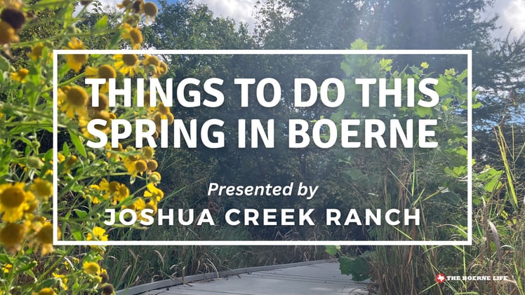 👉30 Things to Do This Spring