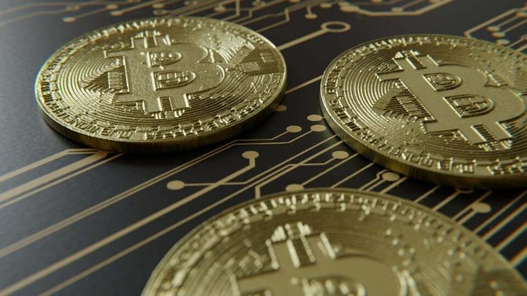 Hedera Temporarily Closes Wallet And App Access!