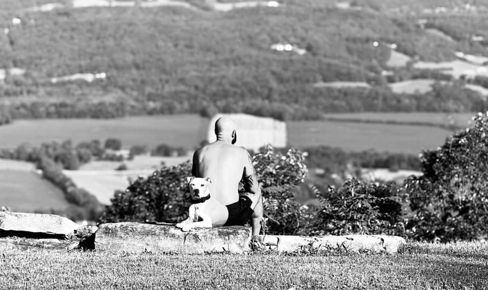 Killing the Noise, Finding the Signal