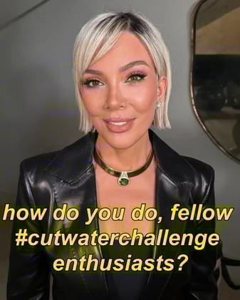 Anheuser-Busch could use another TikTok psyop