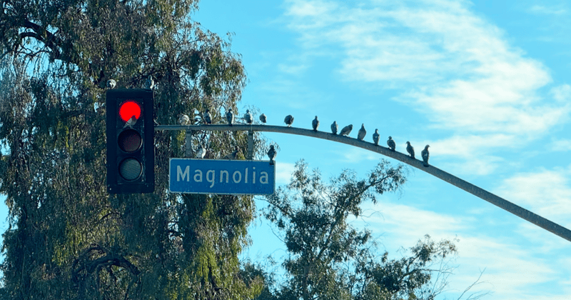 🗺️ Potholes, Witches, and a Map