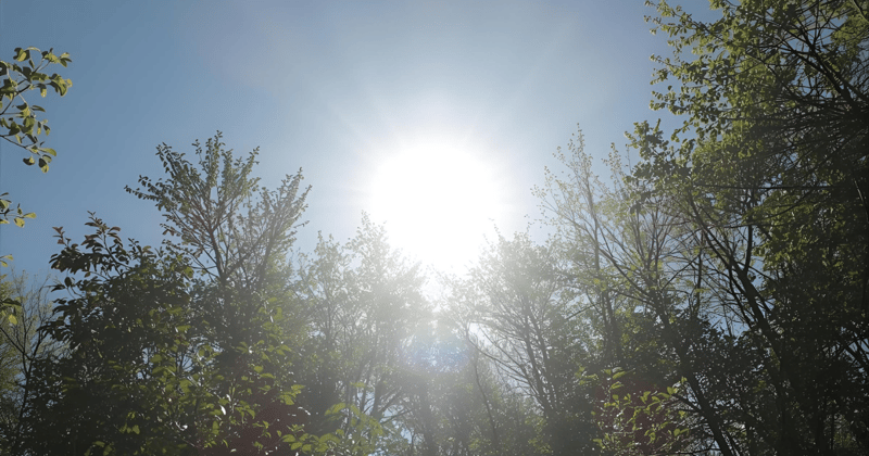 Vitamin D Explained: Deficiency Symptoms and How to Boost Your Levels
