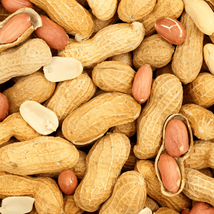 How Many Peanuts Make a Jar of Peanut Butter?