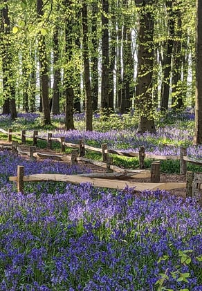 Seven solutions to find time for yourself